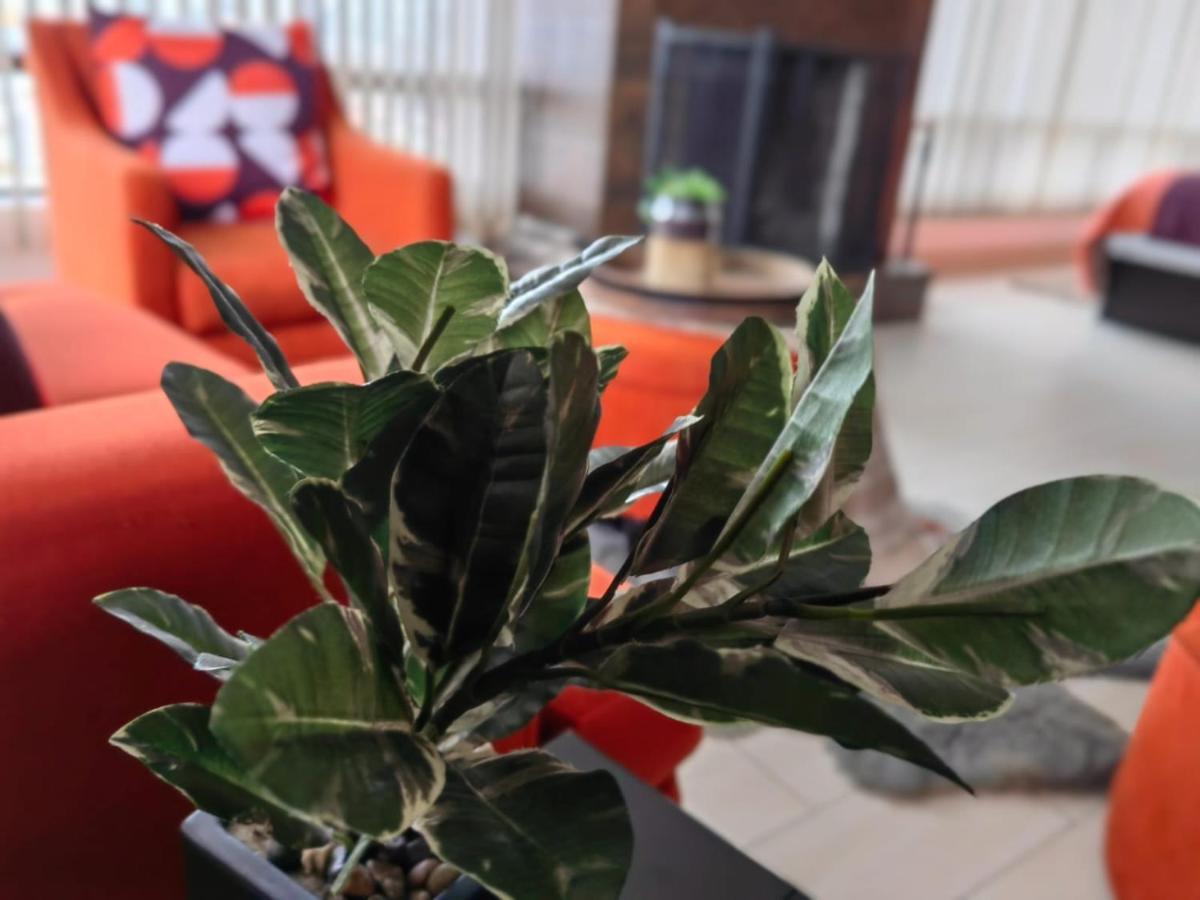 Casa Cacho Hotel Tijuana Kültér fotó